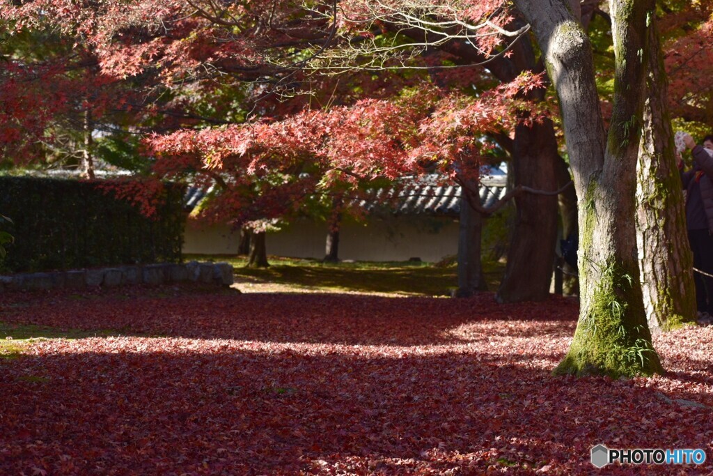 東福寺