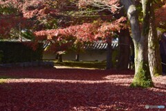 東福寺