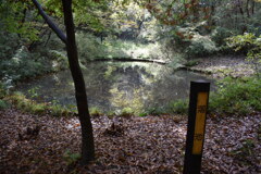 小山田緑地