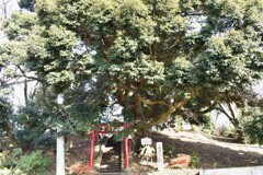 八坂神社