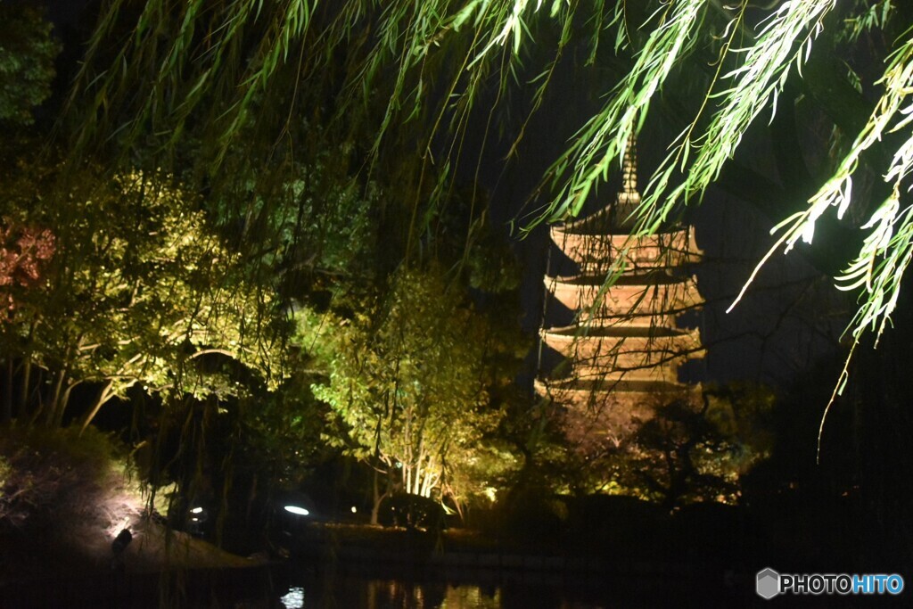 #東寺