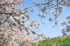 2D281B5E-4684-4B18-8A0B-21258853C4E8