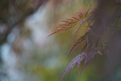 雨上がり