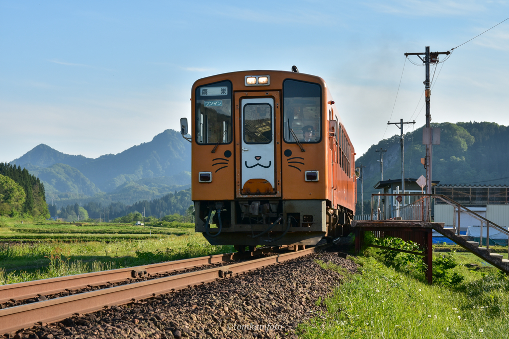 ねこっこ列車