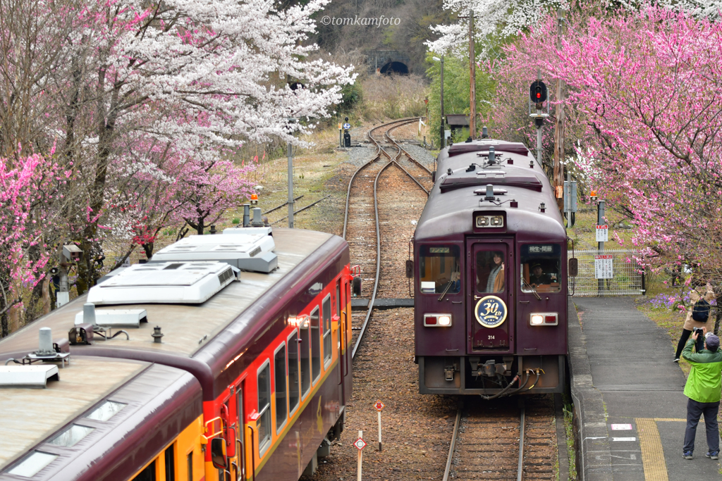 桃源郷の駅