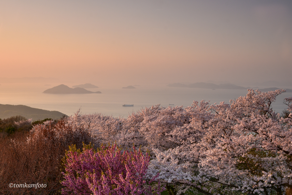 薄桃色に染まる紫雲出の夕暮れ