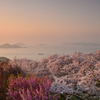 薄桃色に染まる紫雲出の夕暮れ