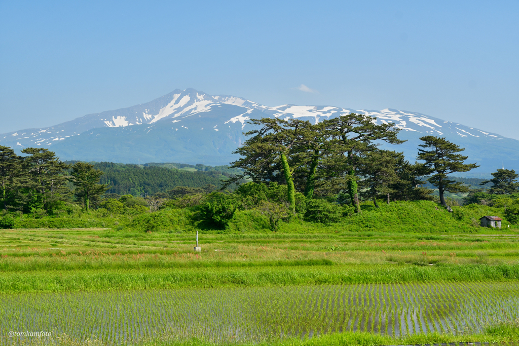 「九十九島」の一つ