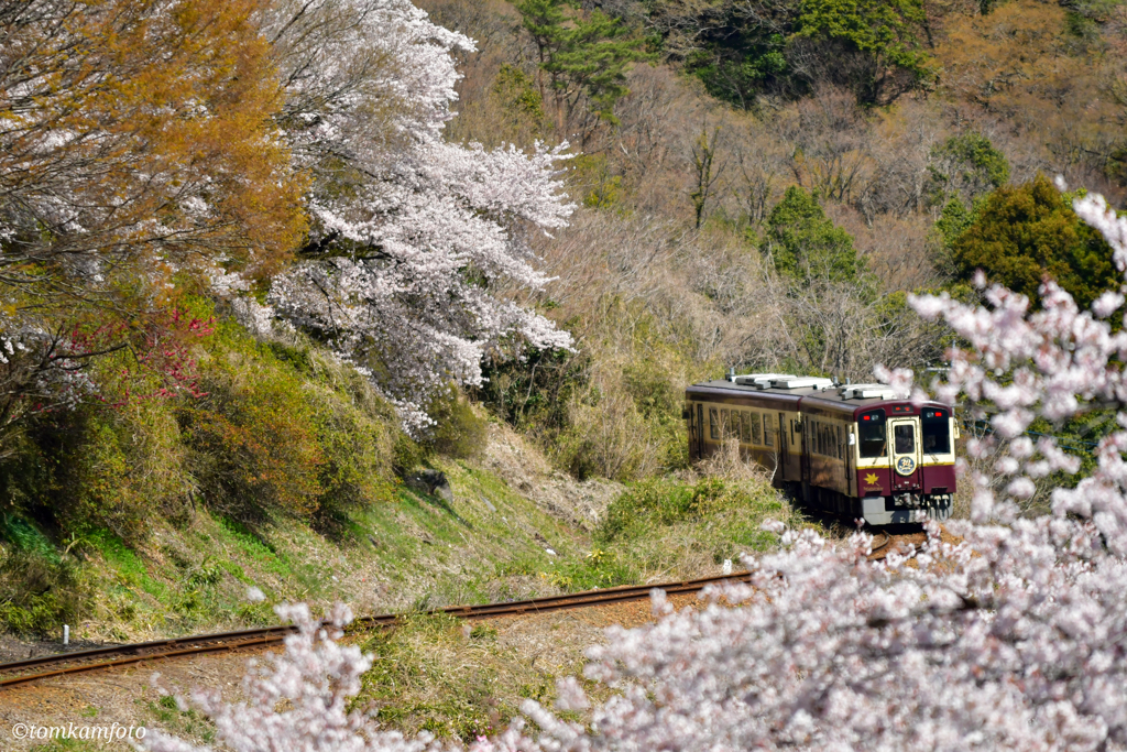 春列車