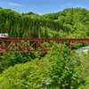 新緑をまたぐ赤い鉄橋