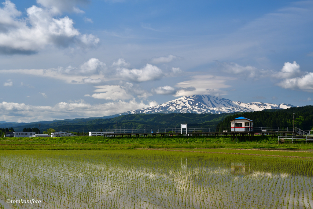 鳥海山を望む無人駅