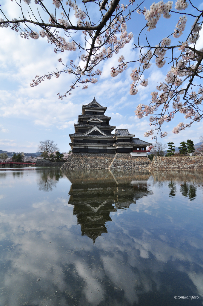 桜咲く烏城