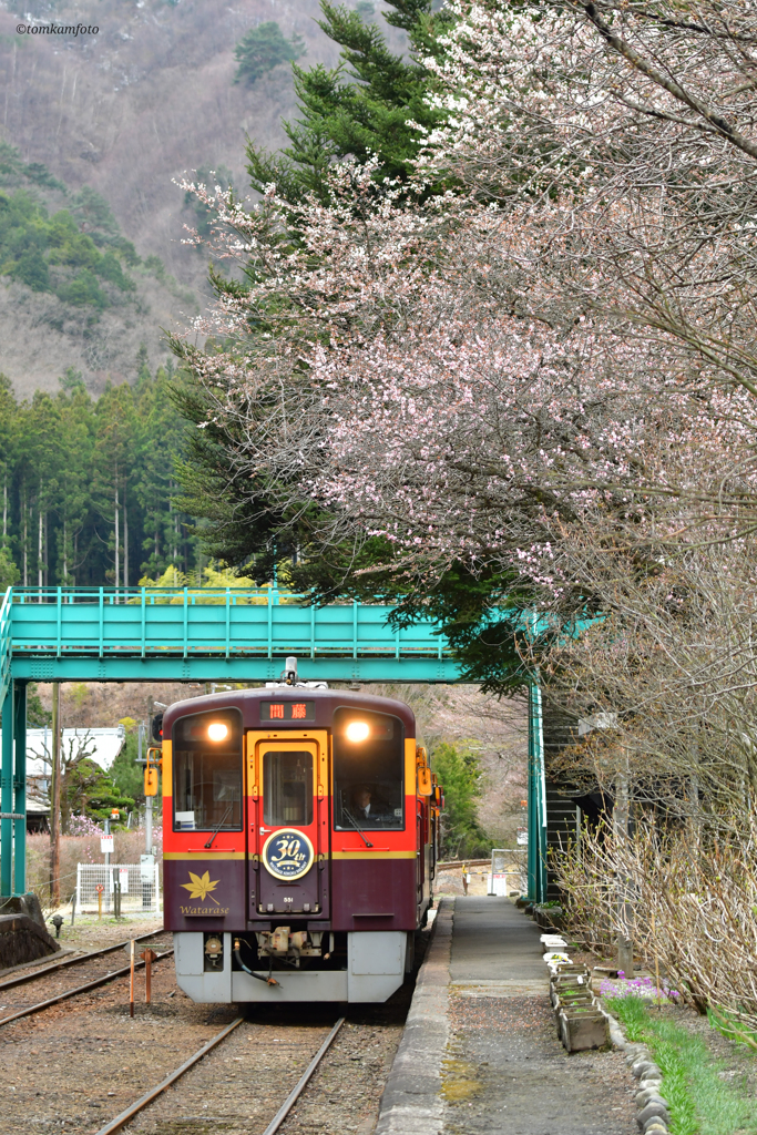 沢入駅にて