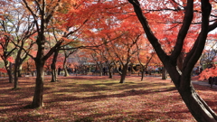 東福寺