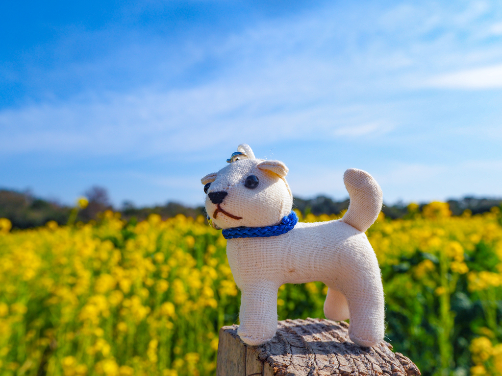 おかげ犬ぽんちゃんの小旅行