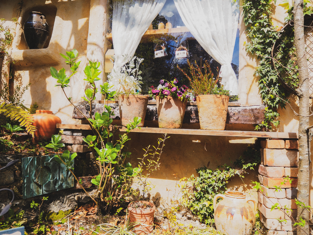 植木鉢のある風景