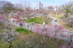 紅白の庭園