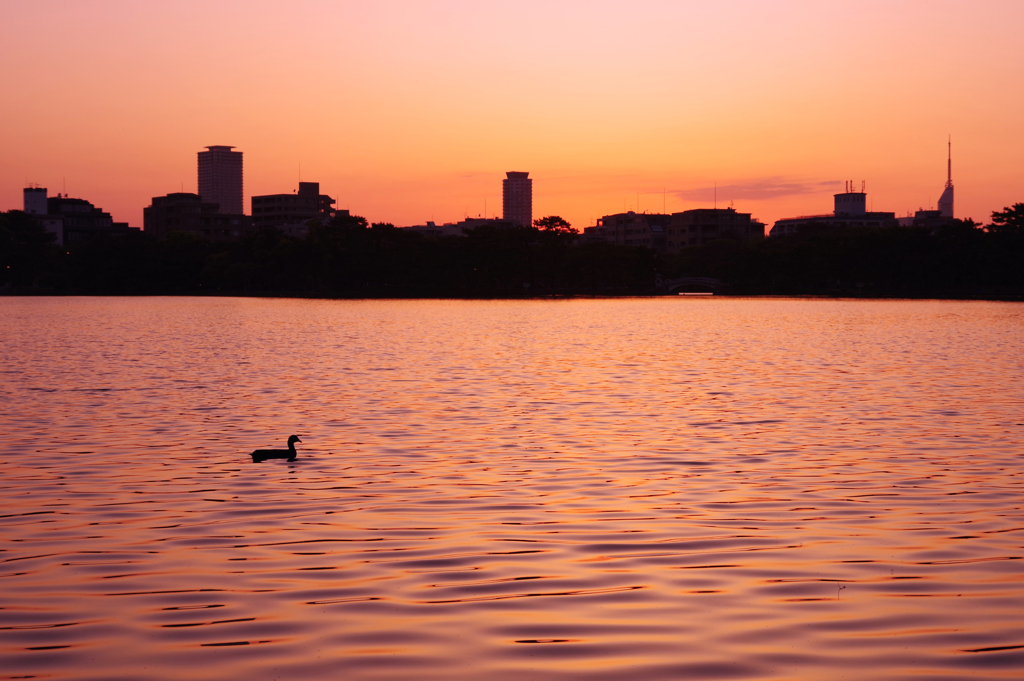 夕刻の水面