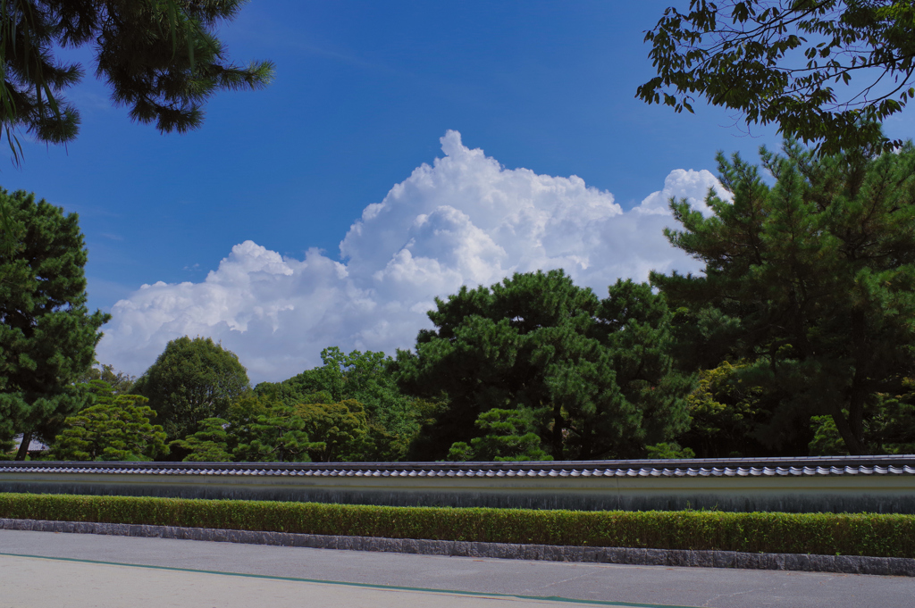 夏の雲 by グリーンティー （ID：13131274） - 写真共有サイト