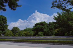 夏の雲