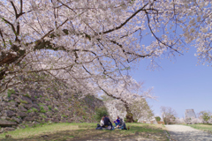 お花見日和