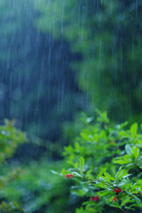 Rainy Day