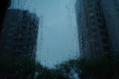 夏の大雨