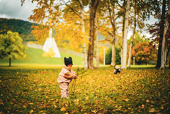 マニュアルレンズ