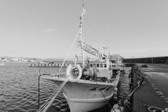 IMG_3663