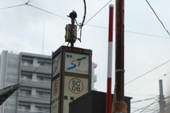 市電通しは通常運行