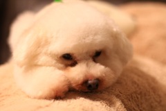 あんた。眠たいのか？