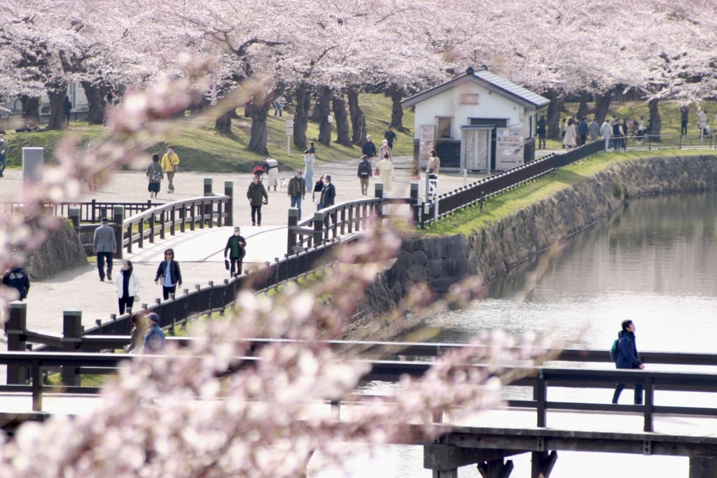 五稜郭公園