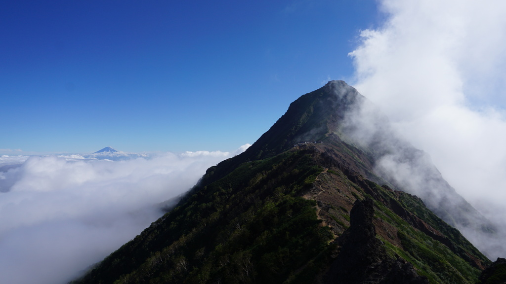 赤岳と雲海に浮かぶ富士山