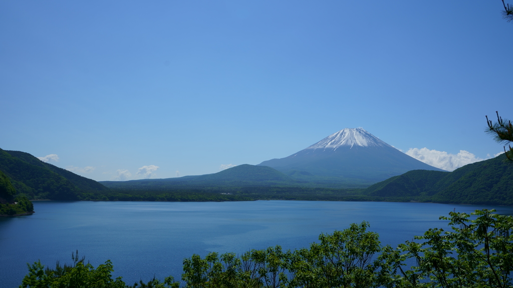 新緑の本栖湖と富士山