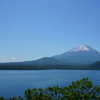 新緑の本栖湖と富士山