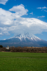 富士山と草原
