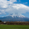 富士山と草原