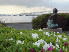 雨上がりの山下公園４月（３）