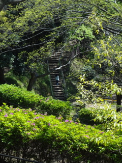 テスト撮影４　山手公園４月