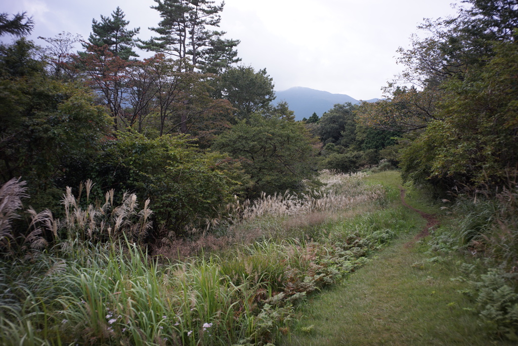 箱根　浅間山山頂