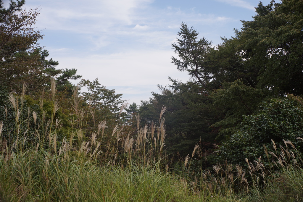 箱根　浅間山山頂