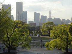 雨上がりの山下公園４月（１）