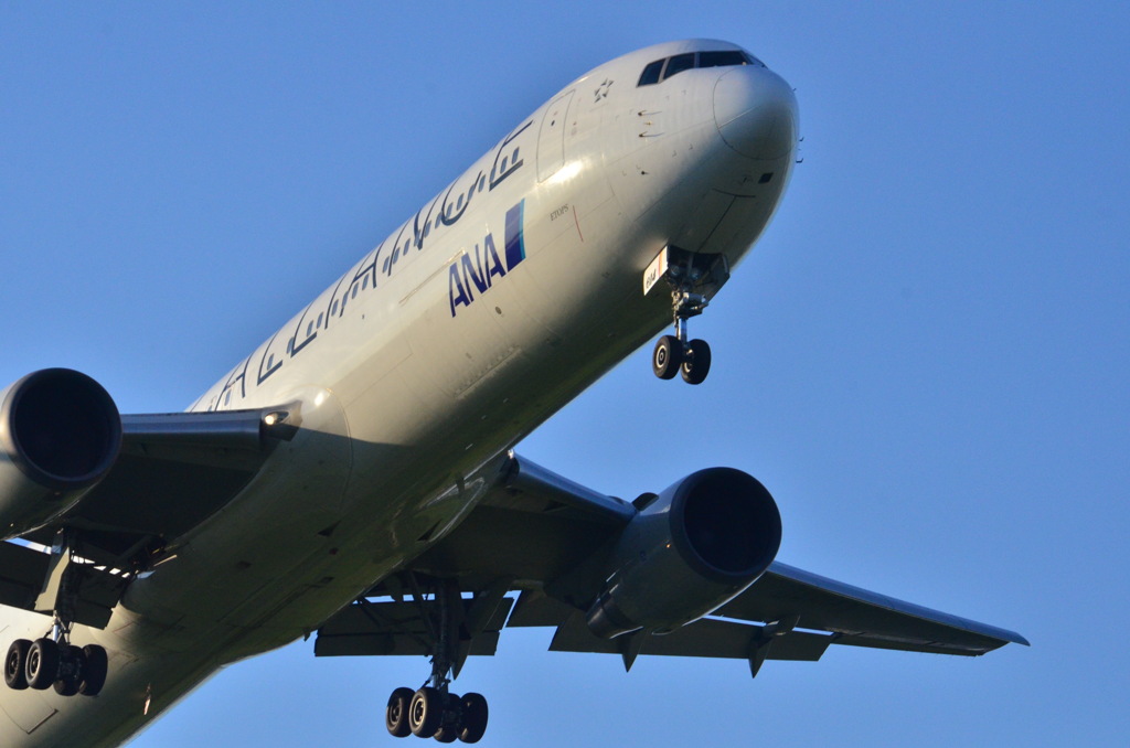 ANA 207
