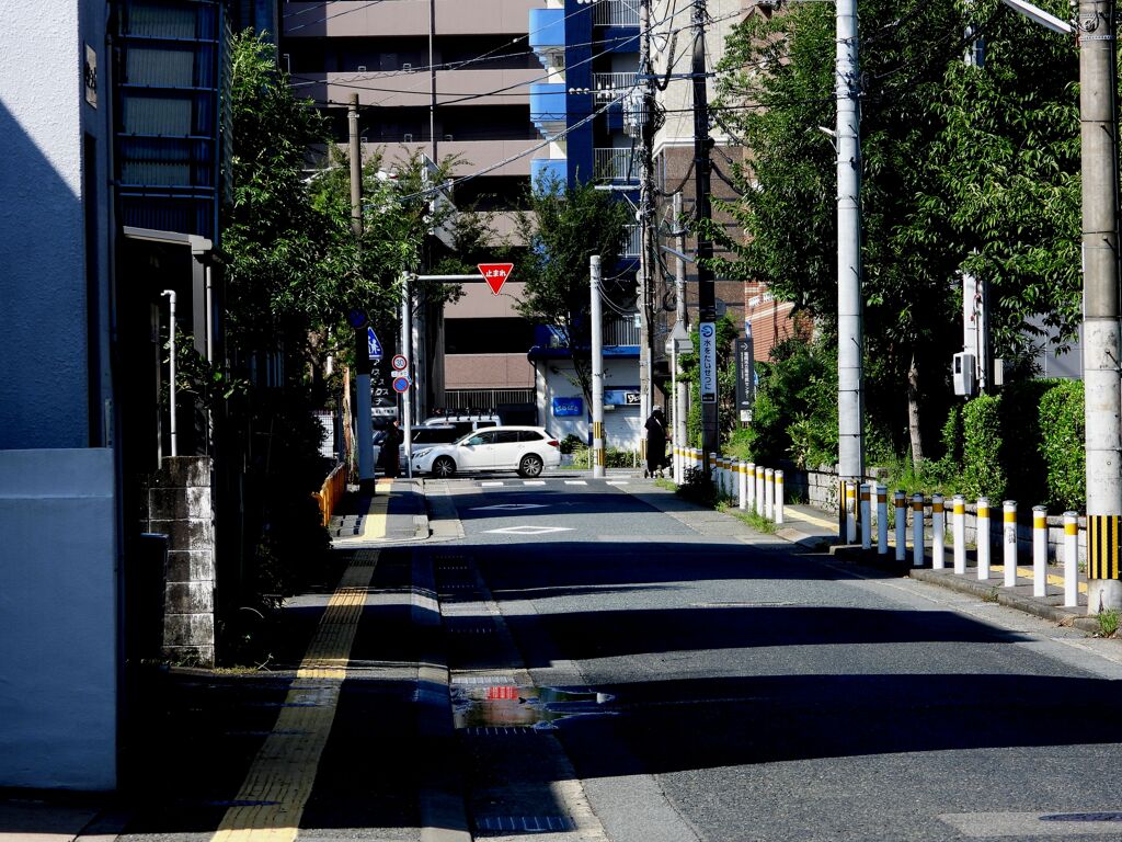 一歩・二歩・散歩（2025夏）「裏通り」
