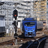らんだむ。らんだむ。ラン！ラン！ラン！その三十七「ソニック」