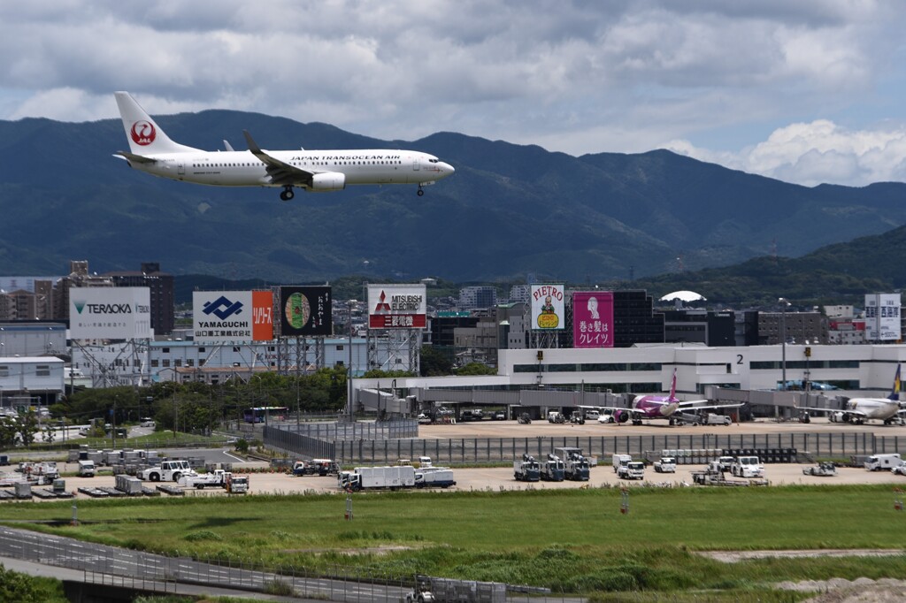 JAL 1114