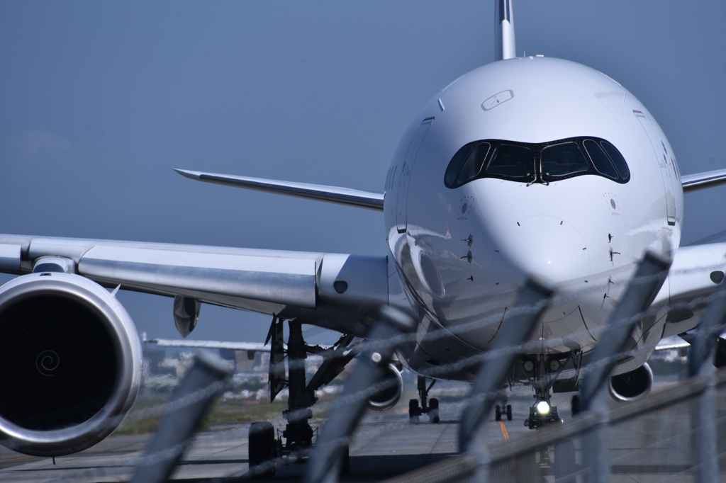 JAL 1111