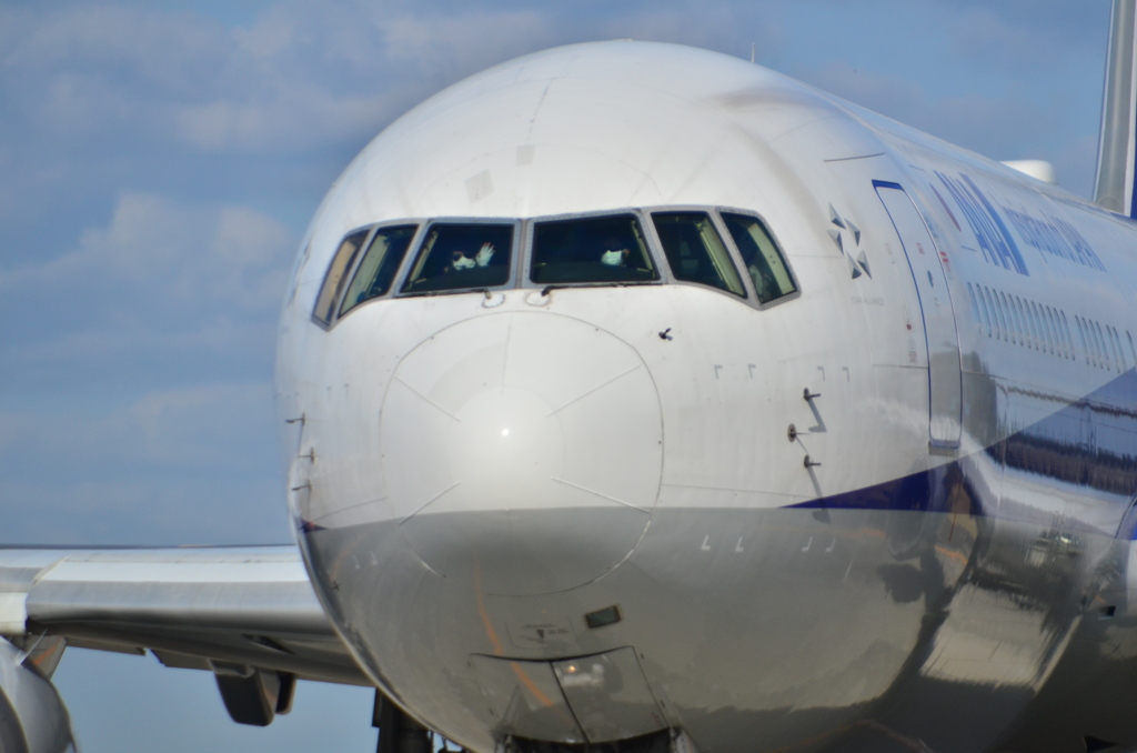 ANA 373