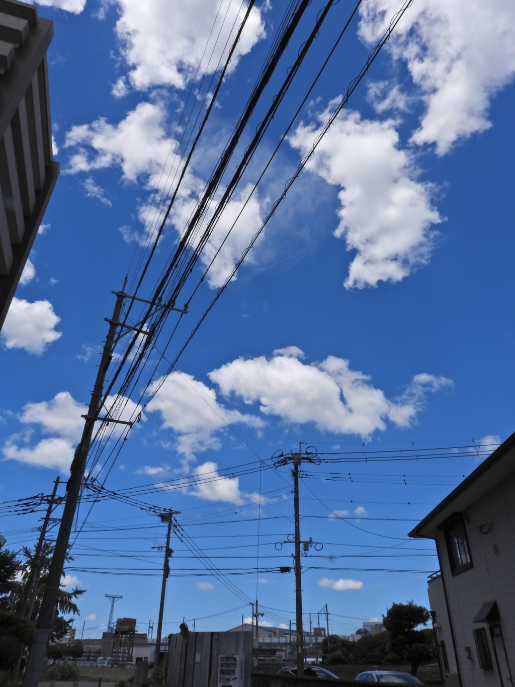 2025夏　03「夏空2」