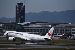 JAL 1163